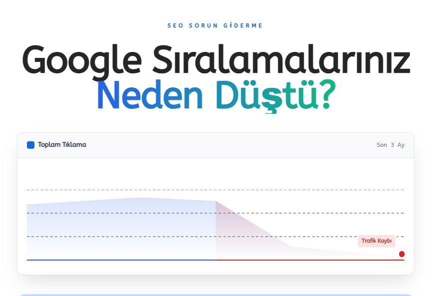 google siralamasi neden duser